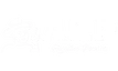 ALP